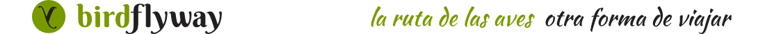 birdflyway logo
